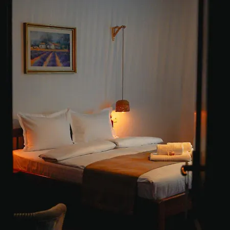 Hotel Bark -