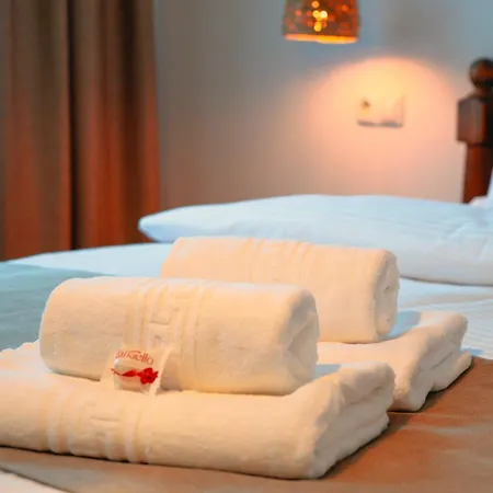 Bark - Hotel Brasov
