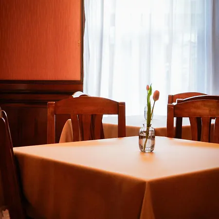 Bark - Hotel Brasov