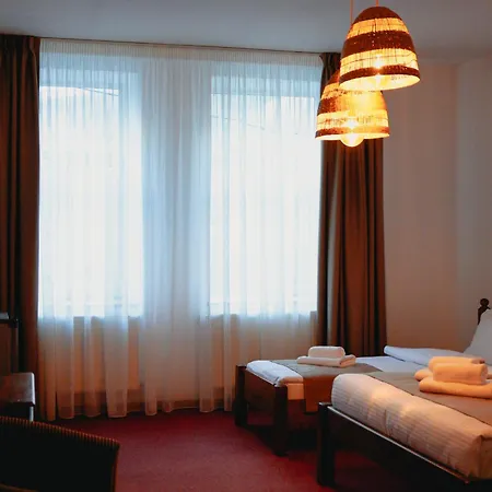 Hotel Bark -