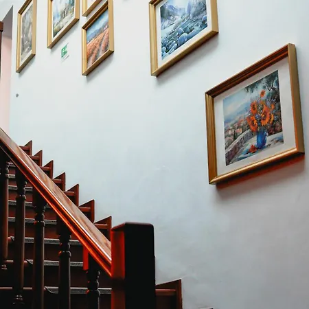 Bark - Hotel Brasov