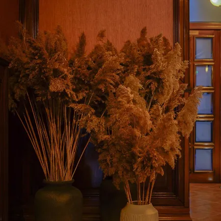Hotel Bark - Brasov